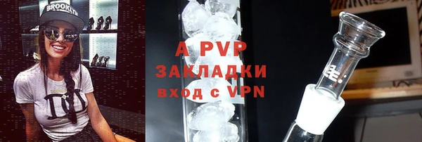сатива Абинск
