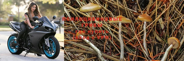 mdma Покров