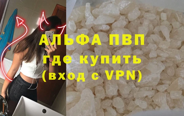 сатива Абинск