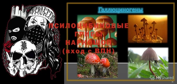 сатива Абинск