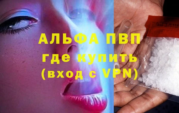 сатива Абинск