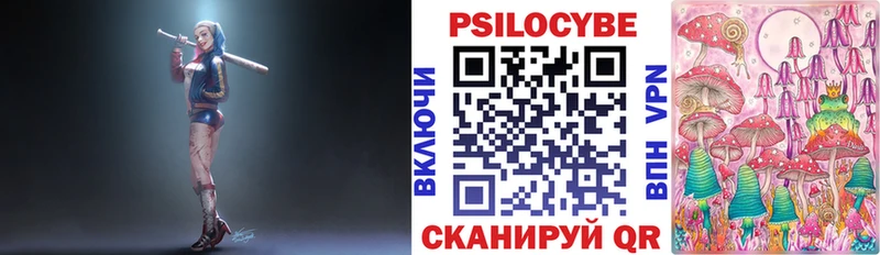 Псилоцибиновые грибы Psilocybe  kraken вход  Приволжск 